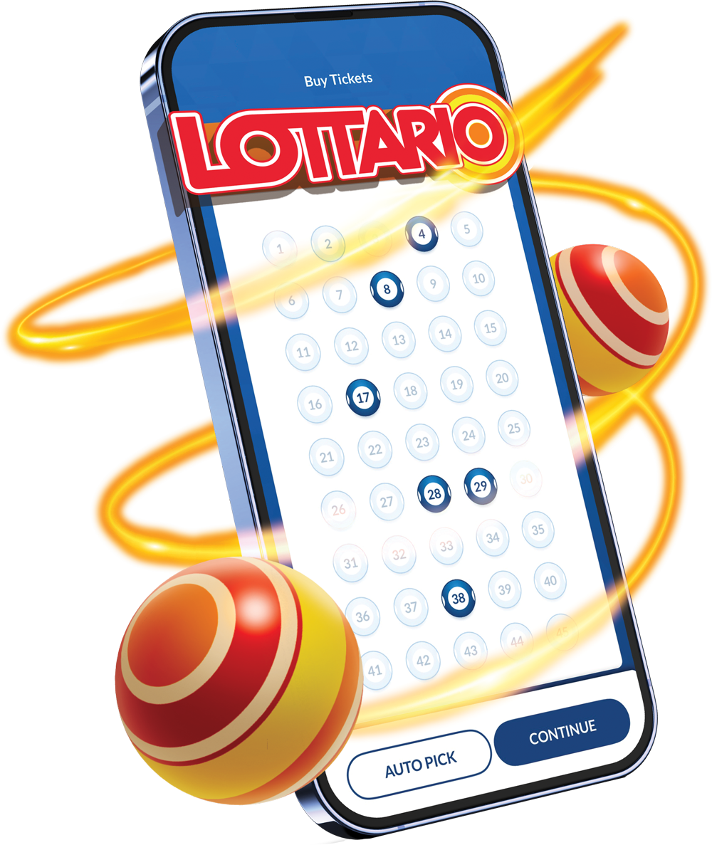 lotto chappal price