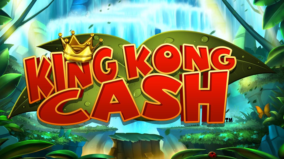 Kong casino