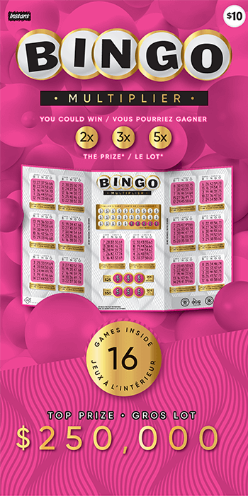 Instant Bingo 3079 ticket