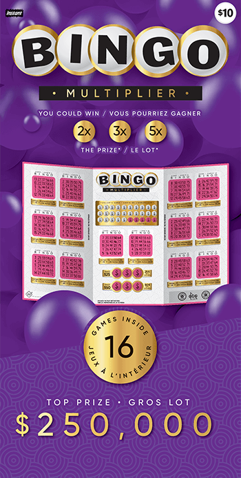 Instant Bingo 3079 ticket