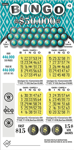 BINGO 3035 ticket