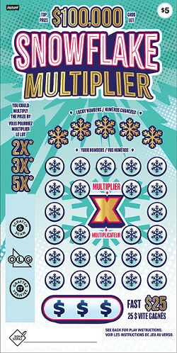 SNOWFLAKE MULTIPLIER 2538 ticket