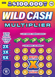 WILD CASH MULTIPLIER — $100,000 Top Prize