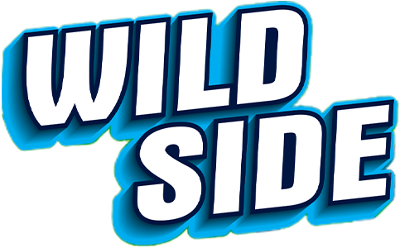 WILD CASH MULTIPLIER