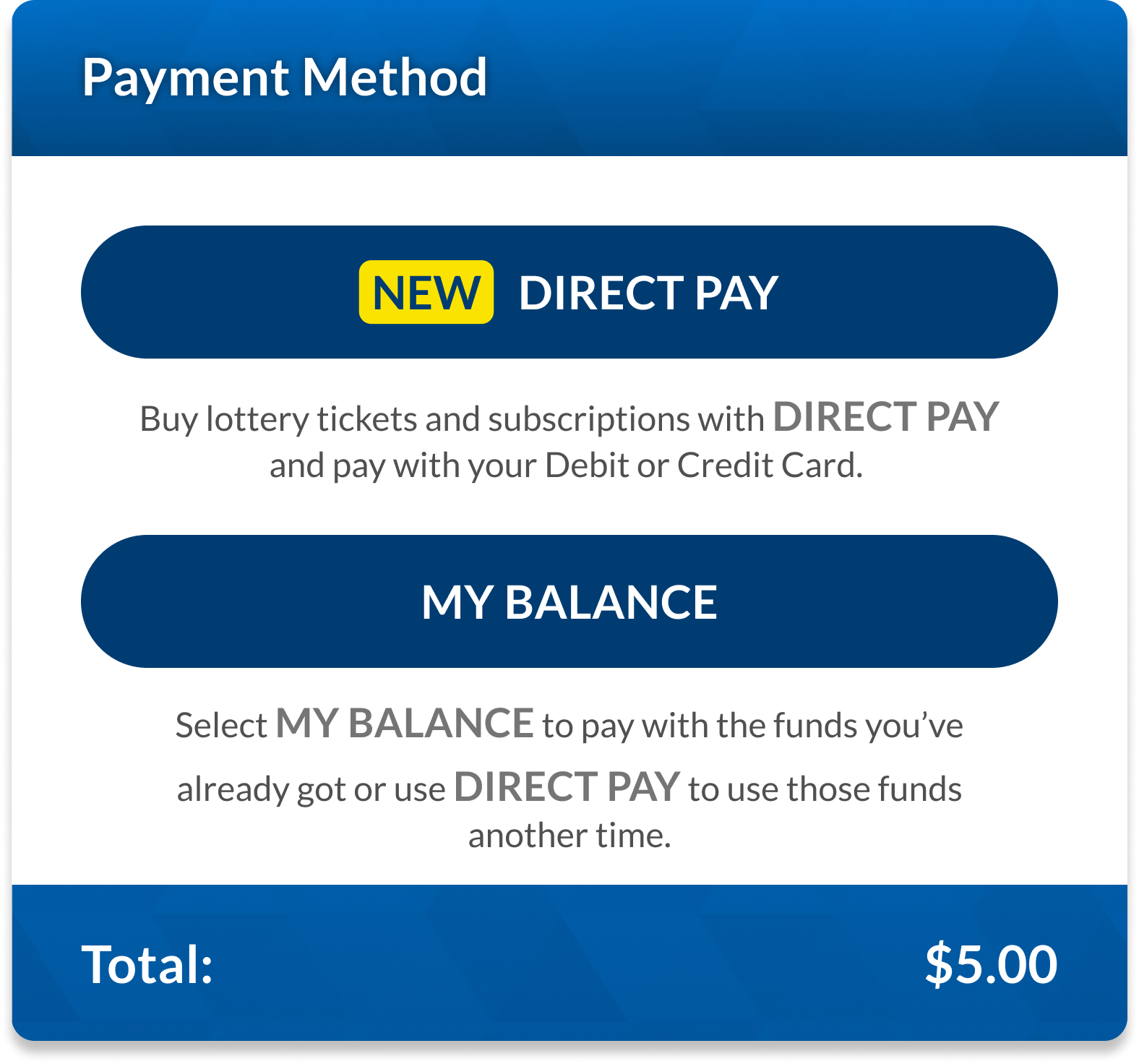 a screen capture of the Direct Pay button available at checkout