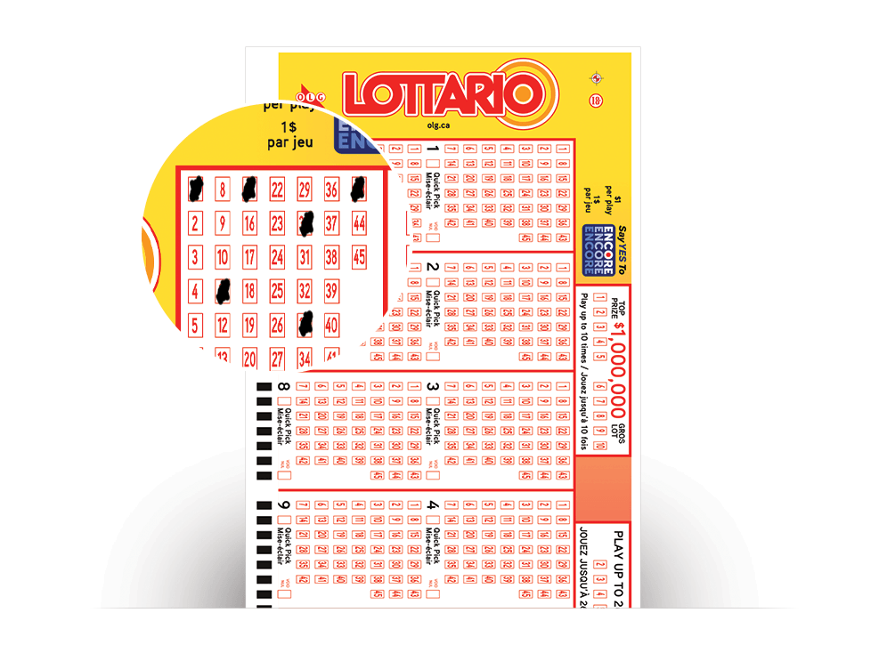 Close-up of LOTTARIO Selection Slip with numbers selected