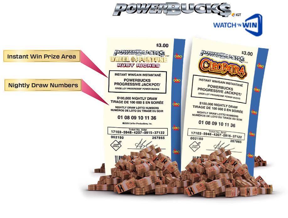 MEGADICE LOTTO Ticket