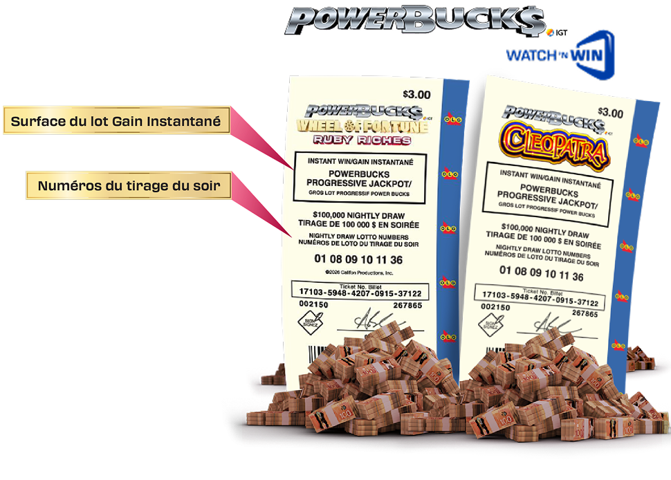 MEGADICE LOTTO Ticket