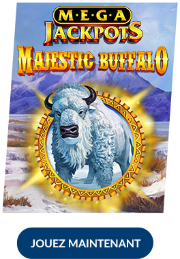 Majestic Buffalo